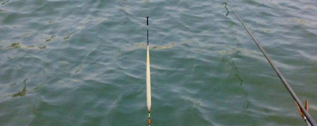 七星漂的调漂方法介绍(七星漂如何调漂)