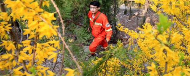 写法示例(写法的写法)