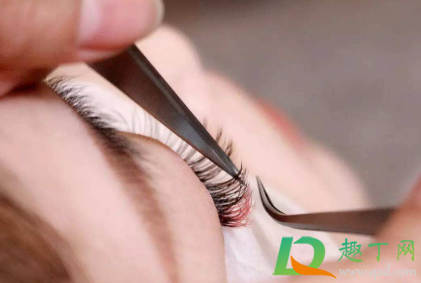 接睫毛真睫毛会掉吗(接了睫毛会掉吗) 接睫毛真睫毛会掉吗(接了睫毛会掉吗)