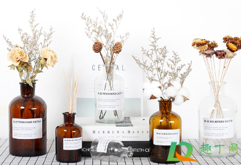 插花水里放盐还是糖(绣球插花水里放盐还是糖)