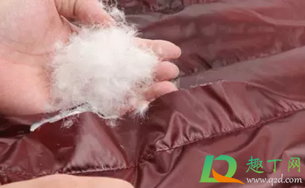 羽绒服摸着软的好还是硬的好(羽绒服软和硬哪个好) 羽绒服摸着软的好还是硬的好(羽绒服软和硬哪个好)