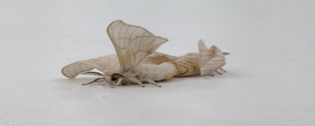 筱和和与郑谐在一起