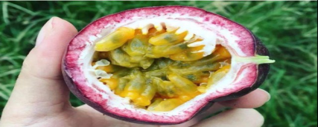 百香果壳怎么利用(百香果壳可以做什么用)