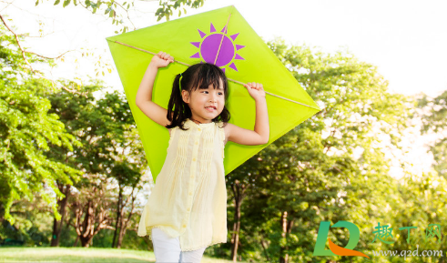 什么风筝适合新手(初学者买什么样的风筝)