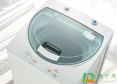 蟑螂在洗衣机里洗碎了用消毒液可以吗(洗衣液消毒水可以杀蟑螂吗)