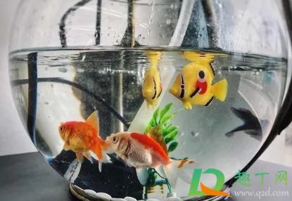 挂机空调出风口滴水怎么回事(挂式空调出风口滴水是什么原因怎么处理)