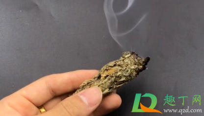 住一楼蚊子多有什么好办法解决(一楼蚊子多怎么回事)