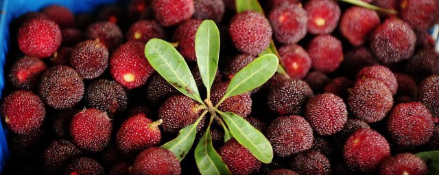 此句子出自哪里(句子的出处)