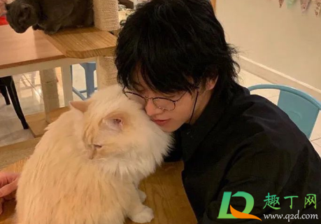 烫摩根烫了跟没烫一样什么原因(摩根烫烫完跟没烫一样) 烫摩根烫了跟没烫一样什么原因(摩根烫烫完跟没烫一样)