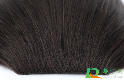 垫发片是真人头发吗(垫发片有用吗) 垫发片是真人头发吗(垫发片有用吗)