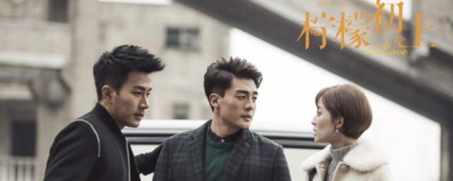 电视剧柠檬初上讲的是什么(柠檬初上电视剧好看吗)