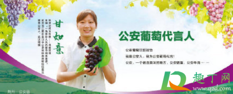 甘如意有男朋友吗(甘如意是哪里的人) 甘如意有男朋友吗(甘如意是哪里的人)