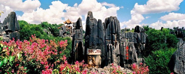 昆明6大旅游景点(昆明有哪些旅游景点大全)