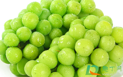 阳光玫瑰是提子还是葡萄(阳光玫瑰到底是葡萄还是提子)