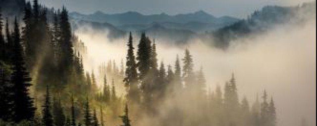 雾是液化物态变化(雾物态变化是怎么形成的)