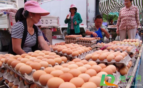 10月鸡蛋价格会下降吗(12月份鸡蛋价格下降的原因)