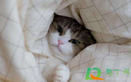 为什么躺着的时候呼吸不顺(感觉躺下来就呼吸不顺)