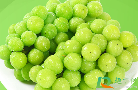 阳光玫瑰是提子还是葡萄(阳光玫瑰到底是葡萄还是提子) 阳光玫瑰是提子还是葡萄(阳光玫瑰到底是葡萄还是提子)