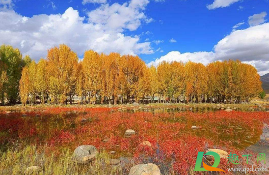 国庆节去海螺沟穿什么衣服(10月去海螺沟穿什么衣服)