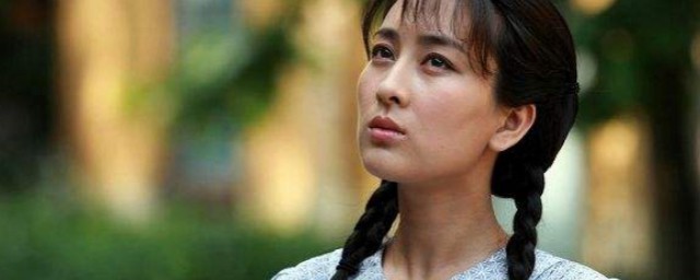 电视剧女人如花讲的是什么(电视剧女人如花演员介绍)