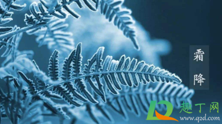 2020霜降天气会不会太冷(2020年啥时候霜降) 2020霜降天气会不会太冷(2020年啥时候霜降)