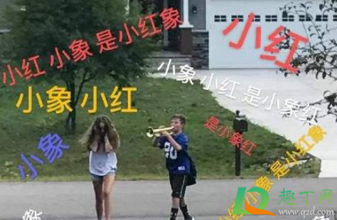 小红小象小红象是什么梗(小红小象是小红像)