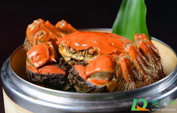 螃蟹挑选白肚还是黑肚(螃蟹肚子黑黑的是什么)