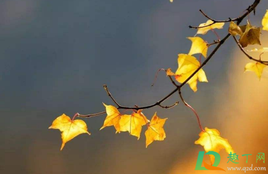 2020秋分会降温吗(2020几月份开始降温)