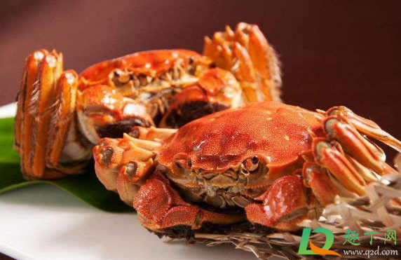 螃蟹壳硬好还是软好(螃蟹壳硬吗)