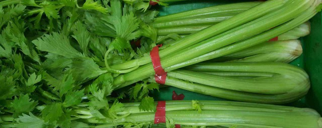 吃芹菜好处盘点(常吃芹菜有啥好处)