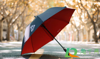 雨伞上的黑色霉斑怎么洗掉(雨伞起黑斑点怎么去除)