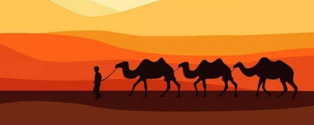 这几大洲你要知道(七大洲都是哪大洲)