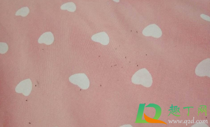 床上被子上的跳蚤的怎么处理(床上被单有跳蚤要怎么处理)