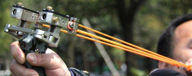 新人入坑须知(入坑须知的内容是什么)