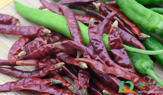 晒干辣椒被雨淋了需要洗吗(晒辣椒被雨淋了怎么处理) 晒干辣椒被雨淋了需要洗吗(晒辣椒被雨淋了怎么处理)