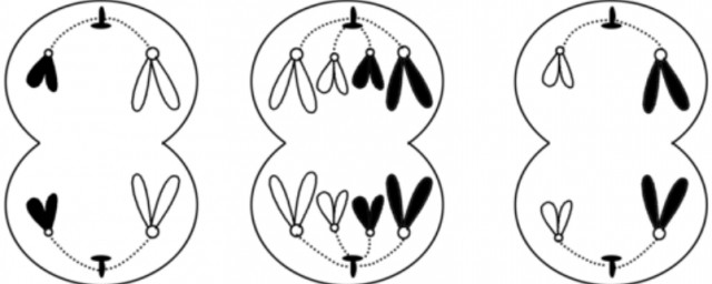 谁知道呢(谁知道呢或许石像已经碎掉了也说不定)