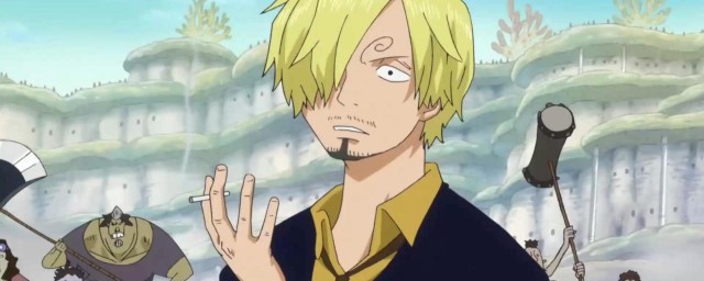 动画海贼王的简介信息(日本动漫海贼王简介)