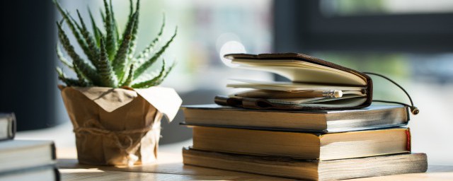 是一本什么小说(钢铁是怎样炼成的是一本什么小说)