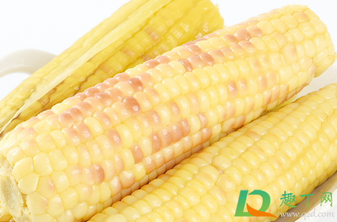 真空玉米冷冻还是冷藏保存(玉米保鲜还是冷冻) 真空玉米冷冻还是冷藏保存(玉米保鲜还是冷冻)