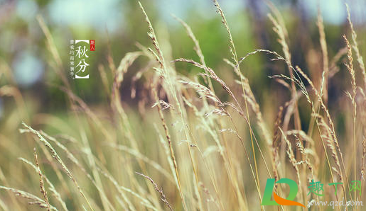 2020秋分会降温吗(2020几月份开始降温)