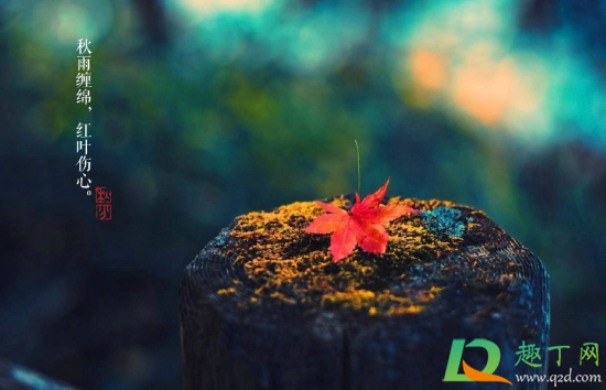 2020年秋分会下雨吗(2020春节会下雨吗)