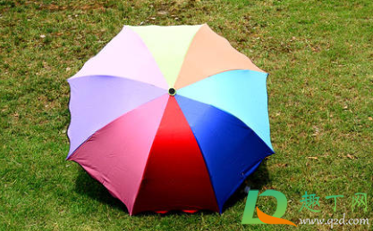 雨伞上的黑色霉斑怎么洗掉(雨伞起黑斑点怎么去除)