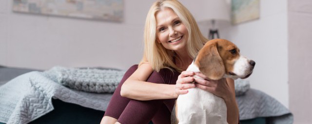 宠物狗的品种盘点(常见宠物狗的品种大全)