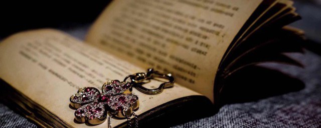 这些您都看过几本(这本小说好像看过)