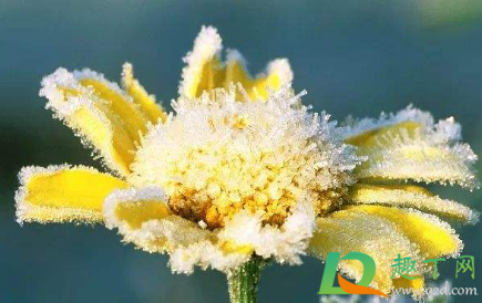 2020霜降天气会不会太冷(2020年啥时候霜降) 2020霜降天气会不会太冷(2020年啥时候霜降)