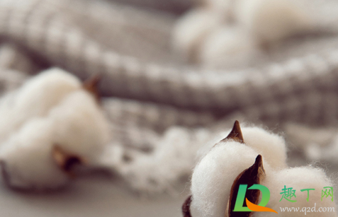 被套掉毛会吸入肺部吗(衣服掉毛会吸进肺里吗)