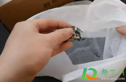 鞋盒里的白袋子有什么用(鞋盒中的白色布袋子是什么)