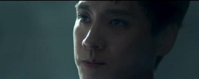 蚀电影简介(蚀电影剧情介绍)