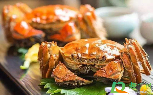 螃蟹壳颜色越深越好吗(螃蟹颜色变浅了会怎么样)