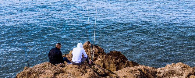 钓鲤鱼商品饵料配方介绍(鲤鱼饵料配方大全野钓)